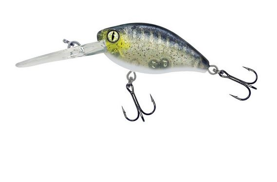 balzer-shirasu-crank-highlight-45mm