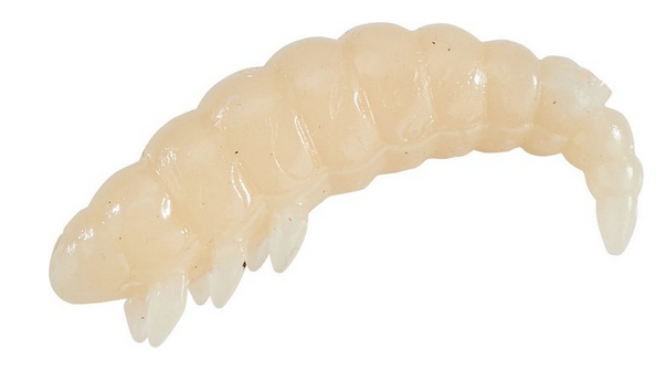 bazillus-knoblauch-3cm-natur