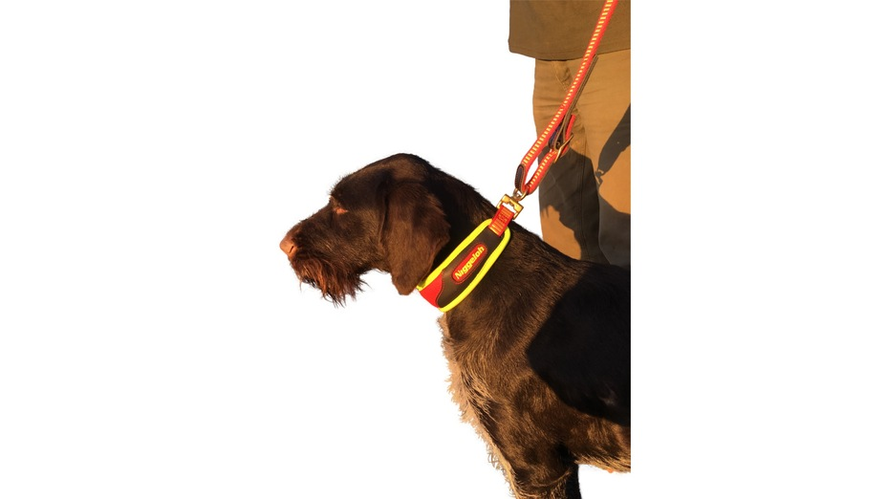 Niggeloh Schweisshalsung TRAIL, Gr. M, gelb/rot