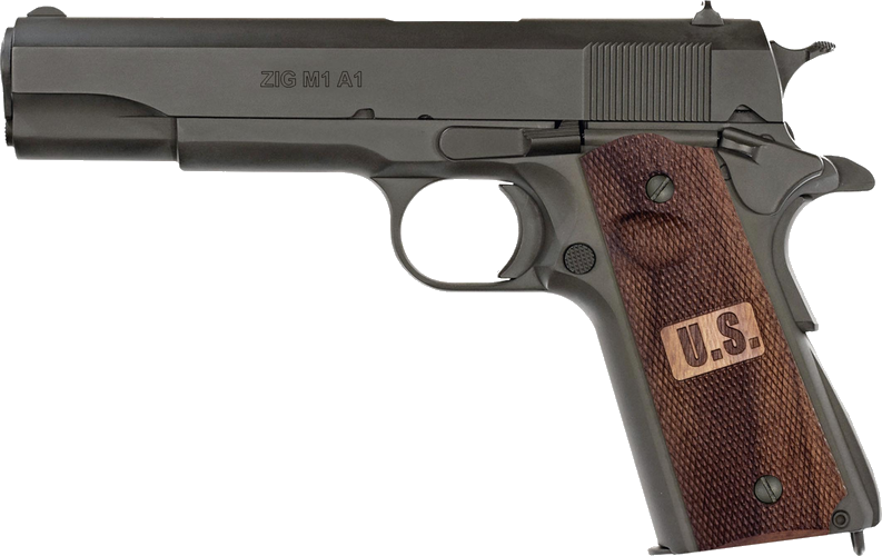 Tisas ZIG M1 A1 US Black 9x19