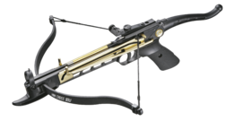 AB Pistl G.O.L.D.A.R.R.O.W 80 lbs