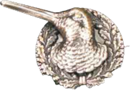 Fritzmann Schnepfenfederhalter